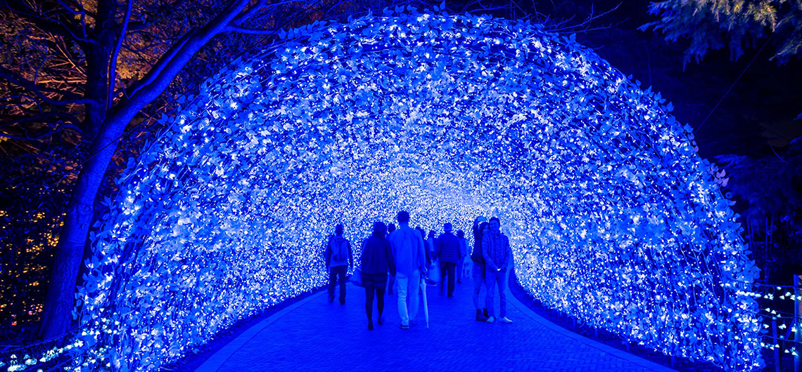 seasonal light display